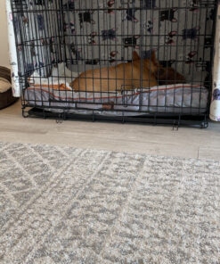 MidWest Homes for Pets Dog Crate Life Stages 36' Double Door Folding Metal Dog Crate | Divider Panel, Floor Protecting Feet, Leak-Proof Dog Pan | 35.63 in x 24.45 in x 21.93 in ,Intermediate Dog Breed 36.0"L x 23.0"W x 25.0"H Lifestages; Double Door 59 C1o3STKyvHS