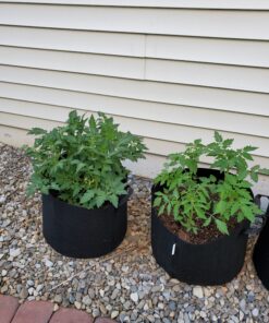 VIVOSUN 5-Pack 10 Gallon Plant Grow Bags, Heavy Duty Thickened Nonwoven Fabric Pots with Handles Black 10 Gallons 53 C1o6Qm07urS