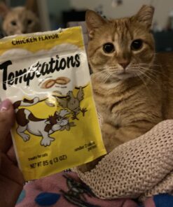 TEMPTATIONS Classic Crunchy and Soft Cat Treats Feline Favorite Variety Pack, 3 oz. Pouches,4 Count 4 Count (Pack of 1) 42 C1p6vbFKSHS