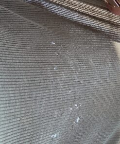 Tapirus Marshmallow Roasting Sticks | Set of 4 Extra Long Retractable Campfire Sticks | Protect Kids with Insulated Handles | Extendable Smore & Hot Dog Skewers | Heavy Duty Metal Camping Accessory 54 C1q4QOn0WVS