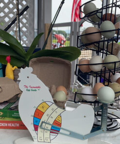 The Incredible Egg Scale 1 20 C1rBW9AixS