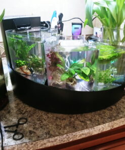 Aqueon Betta Falls 3 Section Aquarium Fish Tank With QuietFlow Power Filtration, Black 62 C1rszu7HmOS