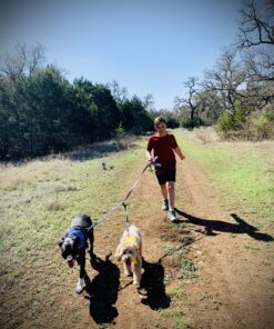 Mighty Paw Dual Dog Leash - Suitable for Two Dogs - Leash for 2 Dogs No Tangle - Leash Splitter - Large and Small Dog Compatible - Dual Leash Attachment - Double Clip Dog Leash Coupler - Dog Splitter Double Leash Standard | Dogs 30+ lbs 43 C1s8PmGlsZS