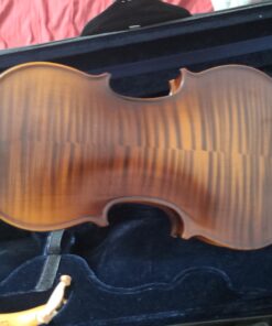 Ricard Bunnel G1 Student Violin Outfit (4/4) 4/4 21 C1sbVcwZv8S
