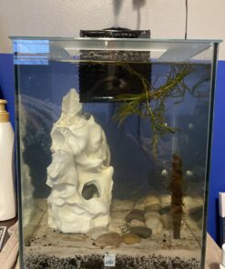 Carib Sea ACS05820 Super Natural Moonlight Sand for Aquarium, 5-Pound 5 lb 29 C1sdB4ygJjS