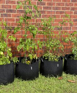 VIVOSUN 5-Pack 10 Gallon Plant Grow Bags, Heavy Duty Thickened Nonwoven Fabric Pots with Handles Black 10 Gallons 58 C1t4u9222tS