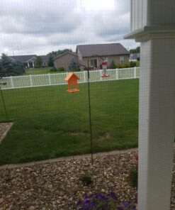 Songbird Essentials SERUBFJF Fruit and Jelly Oriole Feeder (Set of 1) 59 C1t8H71tLS