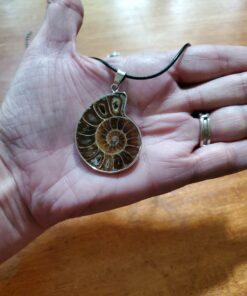JOYA GIFT Charm Handmade Natural Conch Fossil Ammonite By Silver Wrapped Pendant Necklace (1 PCE). 43 C1tUqVLMlLS