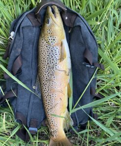 Eagle Claw Pack-It Telescopic Spinning Rod, Yellow, 5-Feet 6-Inch 15 C1u OKWMwYS