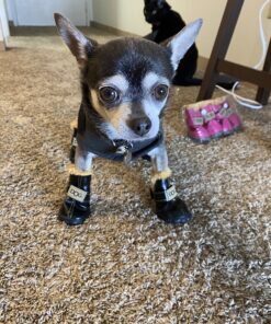 WINSOON Dog Australia Boots Pet Antiskid Shoes Winter Warm Skidproof Sneakers Paw Protectors 4-pcs Set (Size 4, Pink) Size 4 39 C1ub6urPUfS