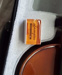 SKY 4/4 Full Size SKYVN201 Solid Maple Wood Violin with High Quality Lightweight Case, Brazilwood Bow, String, Rosin and Mute 44 C1v4TeoNzS