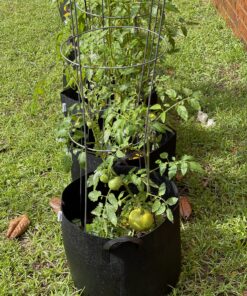 VIVOSUN 5-Pack 10 Gallon Plant Grow Bags, Heavy Duty Thickened Nonwoven Fabric Pots with Handles Black 10 Gallons 59 C1wZzTOyOSS