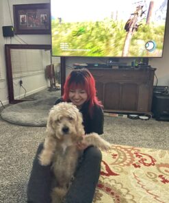 Amazon Basics Dog Poop Bags With Dispenser and Leash Clip, Brazilian Mango Scented, 270 Count, 18 Pack of 15, 13 Inch x 9 Inch 270 Bags 25 C1wgbmP6jyS