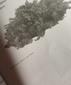 Alkaline Herbal Medicine: Reverse Disease and Heal the Electric Body (Alkaline Plant Based Series) 20 C1wj6gwZznS 1