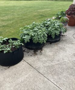 NaturVet Quiet Moments Calming Aid Dog Supplement – Helps Promote Relaxation, Reduce Stress, Storm Anxiety, Motion Sickness for Dogs – Tasty Pet Soft Chews with Melatonin – 70 Ct. Dog - Quiet Moments Melatonin 70 Soft Chews 33 C1x1 KYC6QS