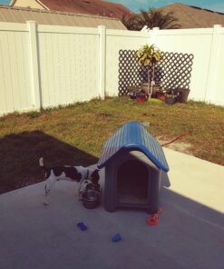 always-quality Indoor Outdoor Dog House Small to Medium Pet All Weather Doghouse Puppy Shelter Blue 29 C1xLCNF9s3S