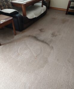 BISSELL Oxy Stain Destroyer Pet, 1784 (Packaging May Vary) 25 C1yUxyiVbS