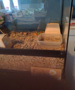 Small Pet Select Premium Small Animal Bedding, Natural Soft Paper Bedding for Small Indoor and Outdoor Pets, Made in USA, Jumbo Size 178 L Pack 39 C1yaG1o8z6S