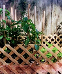 Stuff-fit - DS8044 Copper Mesh for Mouse Rat Rodent Control as Well as Bat Snell Control 30 Foot Roll, Full Size 27 C1zcIZg179S