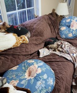 Kingdom Pets Duck Breast Jerky, Premium Treats for Dogs, 40 oz. Bag 37 C1zyqSaIuSS