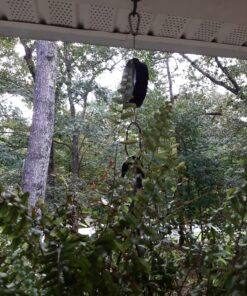 TIHOOD 2PCS Plant Pulley Retractable Hanger Hooks - Hanging Plants Garden Baskets Pots Bird Houses. 5ft Long & 55 lbs Weight Capacity 13 D1QFji1aoS