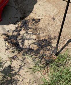 Houseables Weed Torches, Propane Burner Torch, Flame Weeder Cane, 20,000 BTU, 34 Inch, Black, Wand, Self Igniting, Weeds Killer Kit, Push Button Starter, Butane, For Outdoor Lawn Yard and Garden 30 D1df DxxoIS