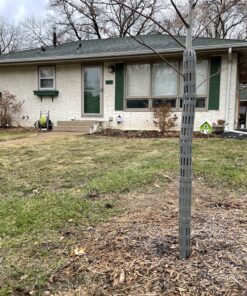 EasyFlex 1131-6C Tree Trunk Protector, 6 Count (Pack of 1), Gray 6 Count (Pack of 1) 30 D1eZNTgsxqS