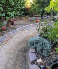 Ashman Shepherd's Hooks 35 Inch (12 Pack), Black, Made of Premium Metal for Hanging Solar Lights, Bird Feeders, Mason Jars, Christmas Lights, Lanterns, Garden Stakes and Wedding Décor. 12 Pack 49 D1lmEqkIOGS