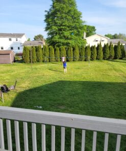 Franklin Sports Volleyball and Badminton Set Recreational Badminton/Volleyball Set 34 D1vHxyZvFS