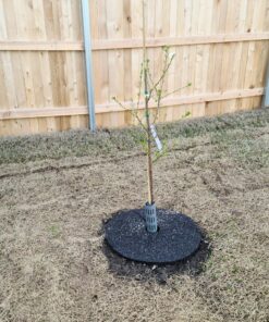 EasyFlex 1131-6C Tree Trunk Protector, 6 Count (Pack of 1), Gray 6 Count (Pack of 1) 41 E1nUCGz GZS scaled