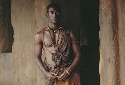 Alternative view of Roots [DVD + Digital] DVD 
                             
                            August 23, 2016