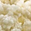 Live Milk Kefir Grains - Live Probiotic Culture 18 21PHGgrsL