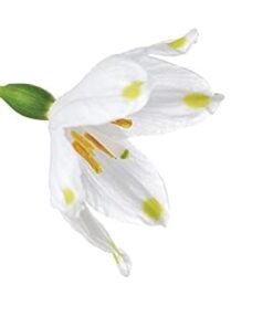 Organic Chemistry 10 21dW1BMUFTL