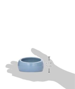Living World Ergonomic Food Dish, for Small Animals, Blue, Small, 4.22oz, 61682A1 20 21livEnjoJL
