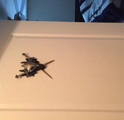 Dragon Crest Armored Dragon Wall Crest Castle Theme Decoration Gift, No Size, Silver/Black/Gold 10 21mR7xBxreL