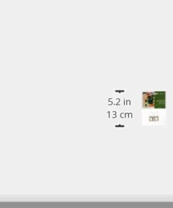 Fox Run Apple Peeling Machine Replacement Blades, Stainless Steel, Set of 2 6 21usInzRjNL