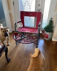 GCI Outdoor Freestyle Rocker Portable Rocking Chair & Outdoor Camping Chair Red 26 311Wp1TJW9L