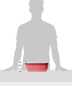 SUMO Ice Cream Containers with Lids for Homemade Ice Cream - Set of 2 Tubs - 1.5 Quart or 3 Pints per Container, Reusable Ice Cream Containers for Freezer Storage, Red 30 3124zErLDxL