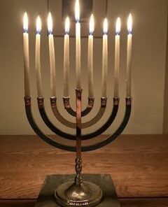 GSI Outdoors Glacier Stainless Steel Bottle Cup I Lightweight Cup or Pot for Travel, Camping and Backpacking - 24 oz Large (Pack of 1) 47 312zREuYJL