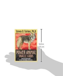 Alternative view of Power Animal Oracle Cards: Practical and Powerful Guidance from Animal Spirit Guides