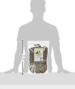 Lightly Sea Salted Sunflower Seed in Shell by Gerbs - 2 LBS - Top 11 Food Allergen Free & Non GMO - Premium Dry Roasted Seeds – COG USA Light Sea Salt 2 Pound (Pack of 1) 25 315qOKcZ7RL 1