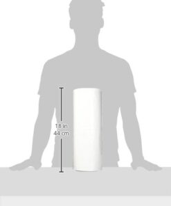 POLY AMERICA R210-100C 10-Feet X 100-Feet 2 Mil Clear Poly Film 11 316hogfBQ1L