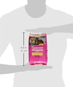 Manna Pro Bite-Size Peppermint Flavor Nuggets | Packed with Vitamins and Minerals | 1 Pound 22 319XGRMokL