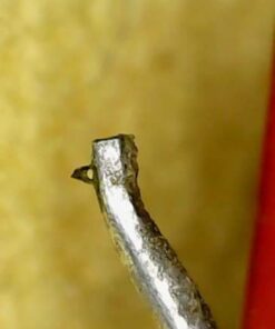 Jiusion Original 40-1000X USB Microscope with Portable Carrying Case, Digital Magnification Endoscope Camera 8 LEDs Metal Base for Micro USB USB-C Android, Windows Mac Linux Chrome 53 31AsdiVLTiL