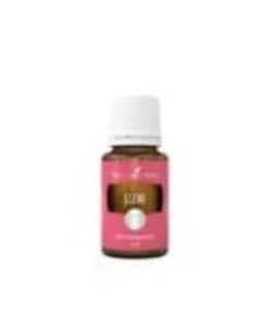 Elemi Essential Oil By Young Living (Small Bottle 5ml) 7 31CtFiDsp5L