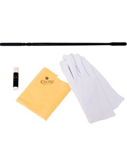 Mendini by Cecilio Premium Grade Silver Closed Hole C Flute with Stand, Book, Deluxe Case and Warranty, MFE-JS+SD+PB 14 31EX1TTx2LL