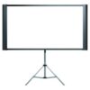 Epson Duet 80-Inch Dual Aspect Ratio Projection Screen