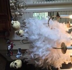 Fun Express Small Skulls for Halloween - Set of 3 - Use for Shrunken Heads and Scary Home Decor 23 31FSE8d7GhL