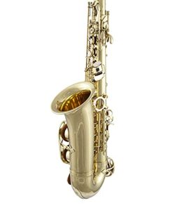 Prelude Student Model AS711 Alto Saxophone by Conn-Selmer MultiColored 10 31GlGhuwPuL