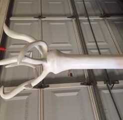 Apoxie Sculpt - 2 Part Modeling Compound (A & B) - 4 Pound, White 23 31JISl5oxML